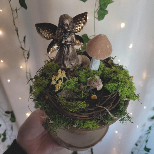 Kris - The Fig Fairy